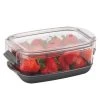 Prepworks 1.2qt Berry ProKeeper -Kitchen Storage shop unnamed file 1303