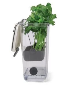 Progressive International PKS-930 BPA-Free Plastic ProKeeper Herb Keeper with Removable Silicone Drain Plug, 1 Piece, White