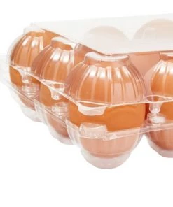 Stockroom Plus 48 Pack Bulk Egg Cartons for 1 Dozen Chicken Eggs, Reusable Containers, Labels -Kitchen Storage shop unnamed file 566