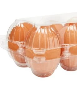 Stockroom Plus 36 Pack Bulk Egg Cartons for 10 Chicken Eggs, Reusable Containers, Labels 10 Stockroom Plus 36 Pack Bulk Egg Cartons for 10 Chicken Eggs, Reusable Containers, Labels -Kitchen Storage shop unnamed file 572