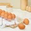Stockroom Plus 24 Pack Plastic Egg Cartons for One Dozen Chicken Eggs Bulk, Labels Included