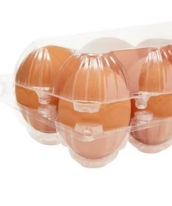 Stockroom Plus 24 Pack Plastic Egg Cartons for One Dozen Chicken Eggs Bulk, Labels Included -Kitchen Storage shop unnamed file 590