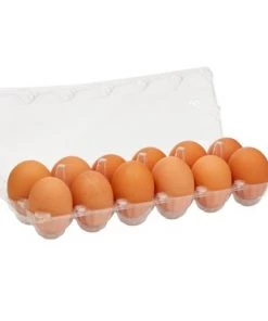 Stockroom Plus 24 Pack Plastic Egg Cartons for One Dozen Chicken Eggs Bulk, Labels Included -Kitchen Storage shop unnamed file 591