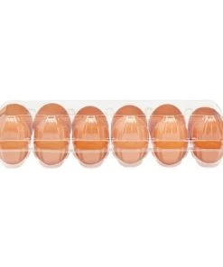 Stockroom Plus 24 Pack Plastic Egg Cartons for One Dozen Chicken Eggs Bulk, Labels Included -Kitchen Storage shop unnamed file 593
