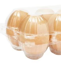 Stockroom Plus 30 Pack Plastic Egg Cartons for Half Dozen Chicken Eggs Bulk, Labels Included -Kitchen Storage shop unnamed file 610