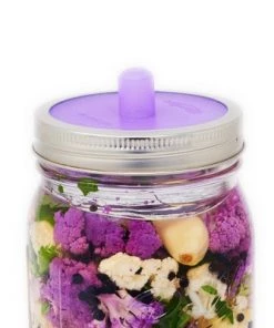 Masontops 4pk Pickle Pipe Fermentation Airlocks Wide